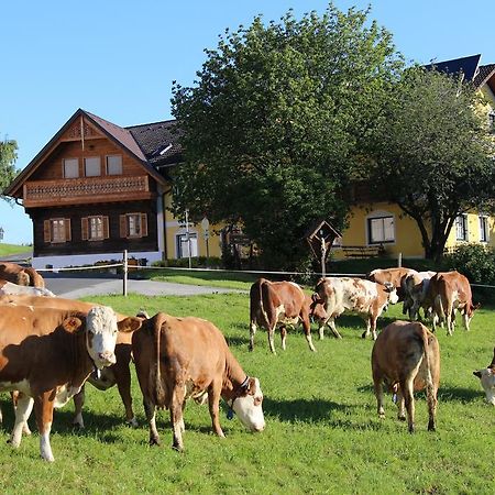 Wiesenbauer - Schlogl Anton Villa Grafendorf bei Hartberg Esterno foto