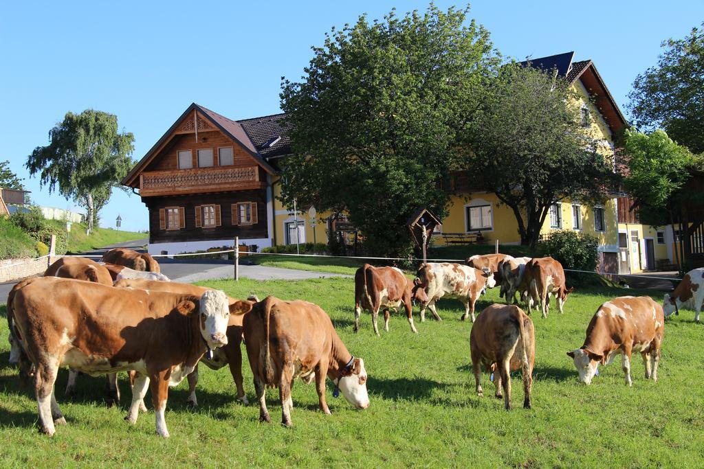 Wiesenbauer - Schlogl Anton Villa Grafendorf bei Hartberg Esterno foto